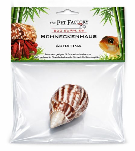 The Pet Factory Csigahéj - Achatina | Természetes váz remeterákok és sügérek számára – 2-3 cm nyílással