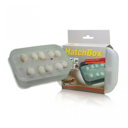 Lucky Reptile|Hatchbox Incubation Tray- keltető doboz