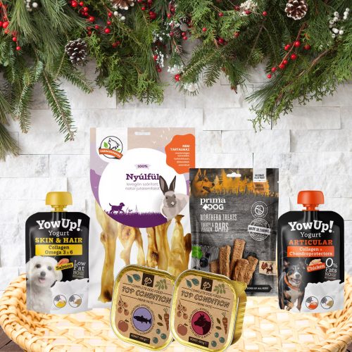 Karácsonyi Ajándékcsomag Kutyáknak | Holiday Health & Taste Box