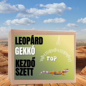 Leopárdgekkó TOP kezdőcsomag - bébi gekkóknak