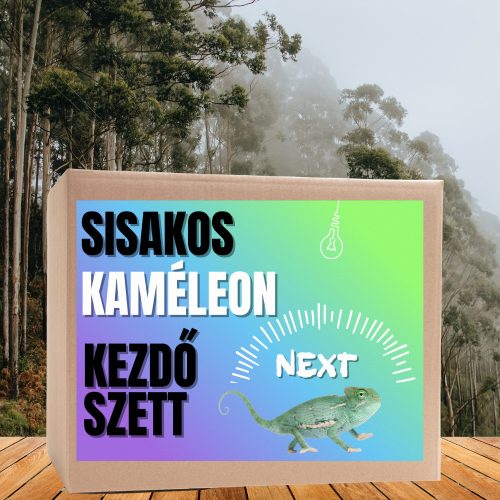 Kaméleon NEXT kezdőcsomag -  sisakos és párduc bébi kaméleonoknak