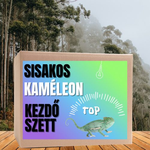 Kaméleon TOP kezdőcsomag -  sisakos és párduc bébi kaméleonoknak