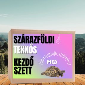   Szárazföldi teknős  MID kezdőcsomag - fiatal teknősöknek