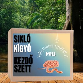 Sikló MID kezdőcsomag - bébi siklóknak