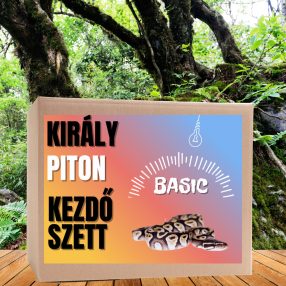 Piton BASIC kezdőcsomag - bébi pitonoknak