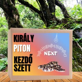 Piton NEXT kezdőcsomag - bébi pitonoknak