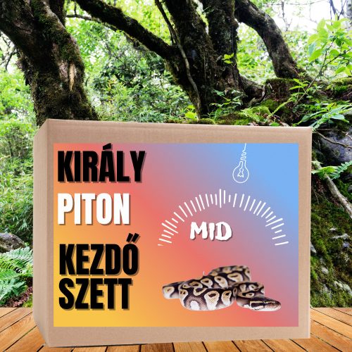 Piton MID kezdőcsomag - bébi pitonoknak