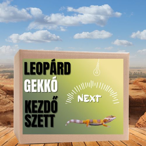Leopárdgekkó NEXT kezdőcsomag - bébi gekkóknak