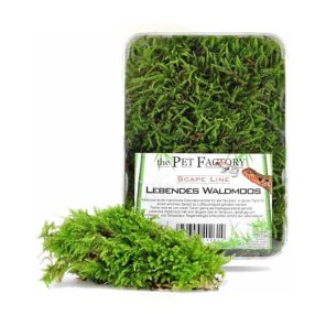   The Pet Factory Lebendes Waldmoos | Élő erdei moha bioaktív terráriumokhoz – 1 liter