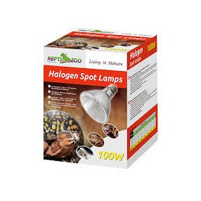 Repti Zoo Halogén Spot | Melegítő izzó - 35 W