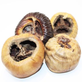   Pet King| Talami| természetes dekor terráriumba -  M – 2 db