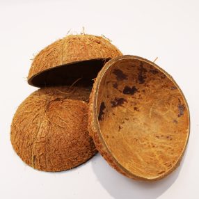   Pet King| Fél kókuszdió héj| természetes dekor terráriumba - 1db