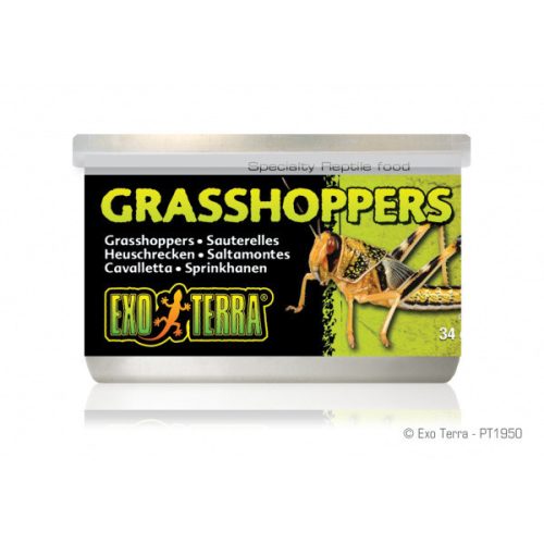 Exo Terra Canned Grasshoppers | Sáska konzerv - 34 g