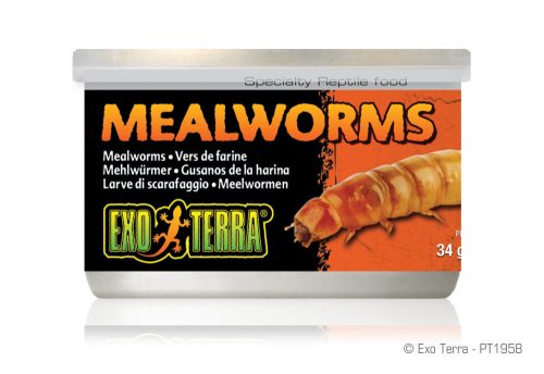 Exo Terra Canned Mealworms | Lisztkukac konzerv - 34 g