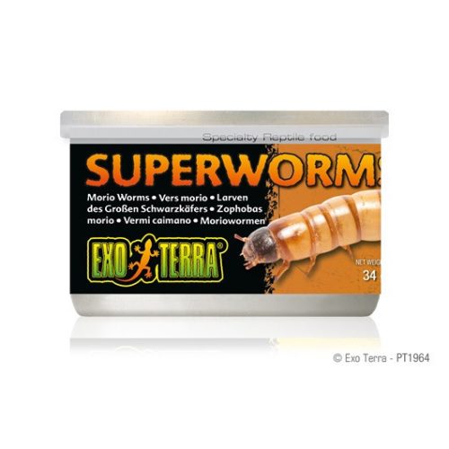 Exo Terra Canned Superworms | Gyászbogár lárva konzerv - 34 g 