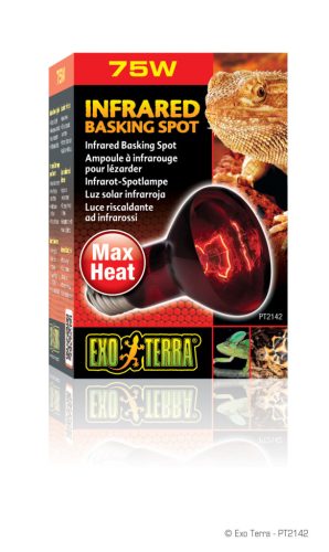 Exo Terra Infrared Basking Spot Lamp | Infravörös melegítő izzó - 75 W