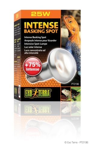 Exo Terra Intense Basking Spot Lamp | Melegítő izzó - 25 W