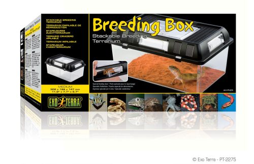 Exo Terra Breeding Box | Tenyésztő doboz - Medium