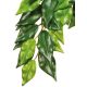 Exo-Terra Silk Plant Ficus Large | Élethű selyem műnövény terráriumba – 60 cm