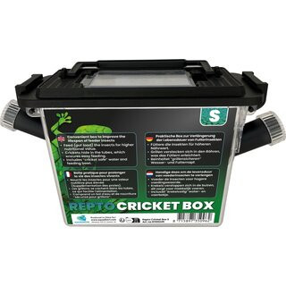 REPTO | CRICKET BOX | Rovar tartó doboz S - 21x9x15 cm