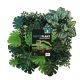 REPTO | PLANT BACK WALL MAT |  Növény háttér fal - 25x25 cm 3