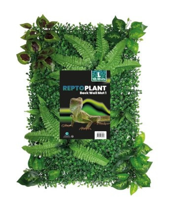 REPTO | PLANT BACK WALL MAT | Növény háttér fal - 40-60 cm 1