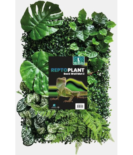 REPTO | PLANT BACK WALL MAT | Növény háttér fal - 40-60 cm 2