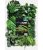 REPTO | PLANT BACK WALL MAT | Növény háttér fal - 40-60 cm 2