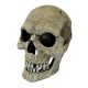 Repto Deco Human Skull | Emberi műkoponya XL