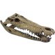 REPTO | DECO CROCODILE XXL | Krokodil koponya dekoráció - 47x20x15 cm