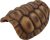 REPTO | DECO TORTOISE | Teknős páncél, dekoráció -  M