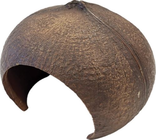 REPTO | DECO COCONUT | Kókusz dekoráció - 15x14x11 cm