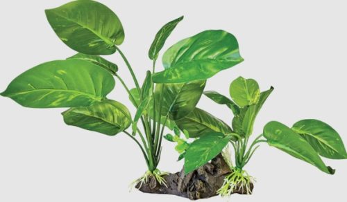 REPTO | PLANT ON DECO DARK GREEN | Műnövény dekoráció, zöld -  26x16x22 cm