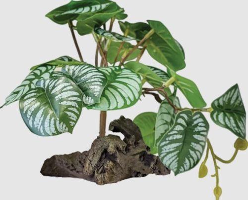 REPTO | PLANT ON DECO BEGONIA | Műnövény dekoráció, begónia - 19x19xx19 cm