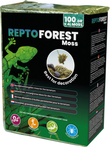 REPTO | SPHAGNUM MOSS | Moha dekoráció - 100 g