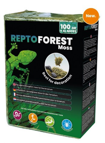 REPTO | FOREST MOSS | Erdei moha dekoráció - 100 g