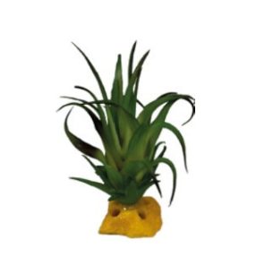   REPTO | PLANT TILLANDSIA | Műnövény dekoráció - 8x7x7 cm