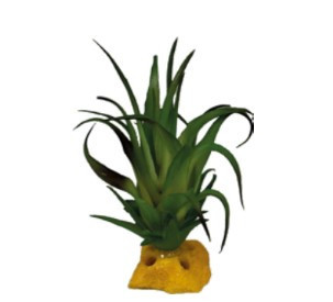 REPTO | PLANT TILLANDSIA | Műnövény dekoráció - 8x7x7 cm
