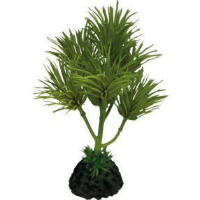   REPTO | PLANT CACTUS PALM | Műanyag dekoráció - 13x13x16 cm 