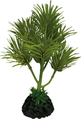 REPTO | PLANT CACTUS PALM | Műanyag dekoráció - 13x13x16 cm 