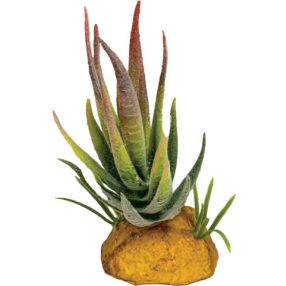   REPTO | PLANT ALOE RED TIP | Műnövény dekoráció, aloe piros - 6x6x12 cm