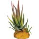 REPTO | PLANT ALOE RED TIP | Műnövény dekoráció, aloe piros - 6x6x12 cm