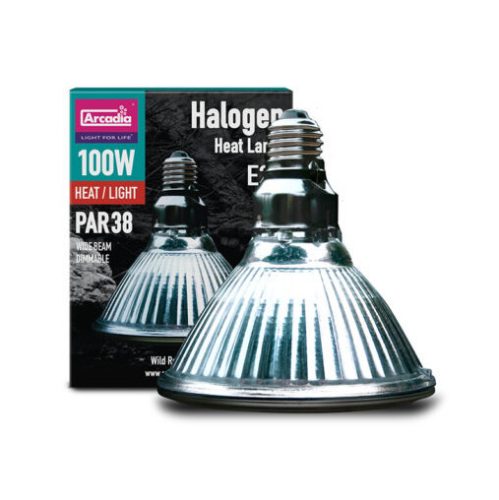 Arcadia | Halogen Basking Spot | Halogén melegítő izzó nappali hüllők számára – 100 W