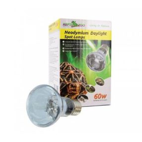 Repti Zoo Day light Spot Neodimyum | melegítő izzó - 60 W