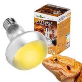 Repti Zoo Intense Basking Spot | Melegítő izzó - 50W