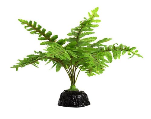 Repti Zoo Boston Fern | Talpas műnövény páfrány - 15 x 15 cm