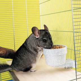   SAVIC Crock Medium | Ketrecre rögzíthető etető/itatótál - 300 ml