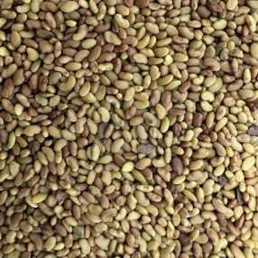   Lucerna mag – 10 g | Prémium takarmánynövény vetőmag otthoni termesztéshez