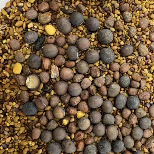 Takarmánynövény MAGMIX – 10 g | Prémium vadnövény-vetőmag keverék otthoni termesztéshez