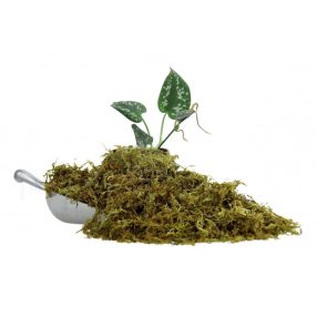   The Pet Factory Trocken-Moos | Prémium szárított moha szállításhoz és dekorációhoz – 100 g